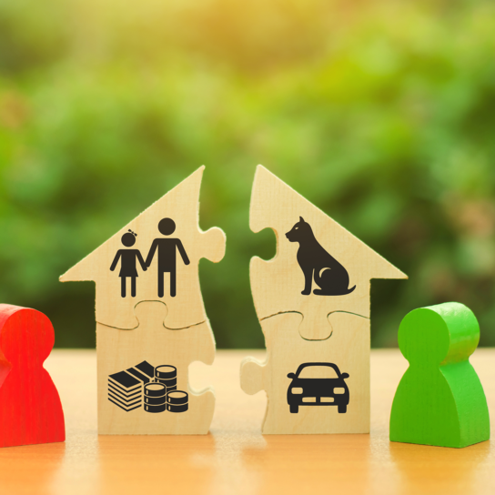 Samenlevingscontract en <span>gezamenlijke woning